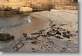 childrens pool * 720 x 479 * (127KB)